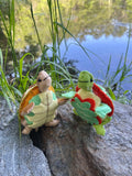 Painted and Wood Turtles Kit