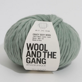Wool and the Gang: Crazy Sexy Wool
