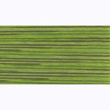 Cosmo Seasons Variegated Floss