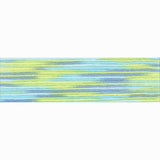 Cosmo Seasons Variegated Floss