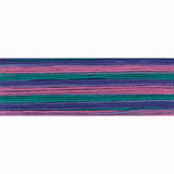 Cosmo Seasons Variegated Floss