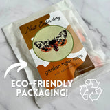 Garden Tiger Moth Mini Kit