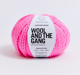 Wool and the Gang: Alpachino Merino