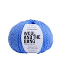 Wool and the Gang: Alpachino Merino