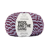 Wool and the Gang: Alpachino Merino Twist