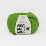 Wool and the Gang: Crazy Sexy Wool