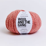 Wool and the Gang: Alpachino Merino